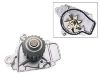 Water Pump:19200-PM3-003