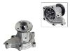 Water Pump:21010-02P25