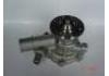 Water Pump:16100-29065