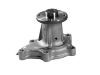 Bomba de agua Water Pump:21010-10V26