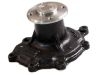 Water Pump:8AW1-15-100